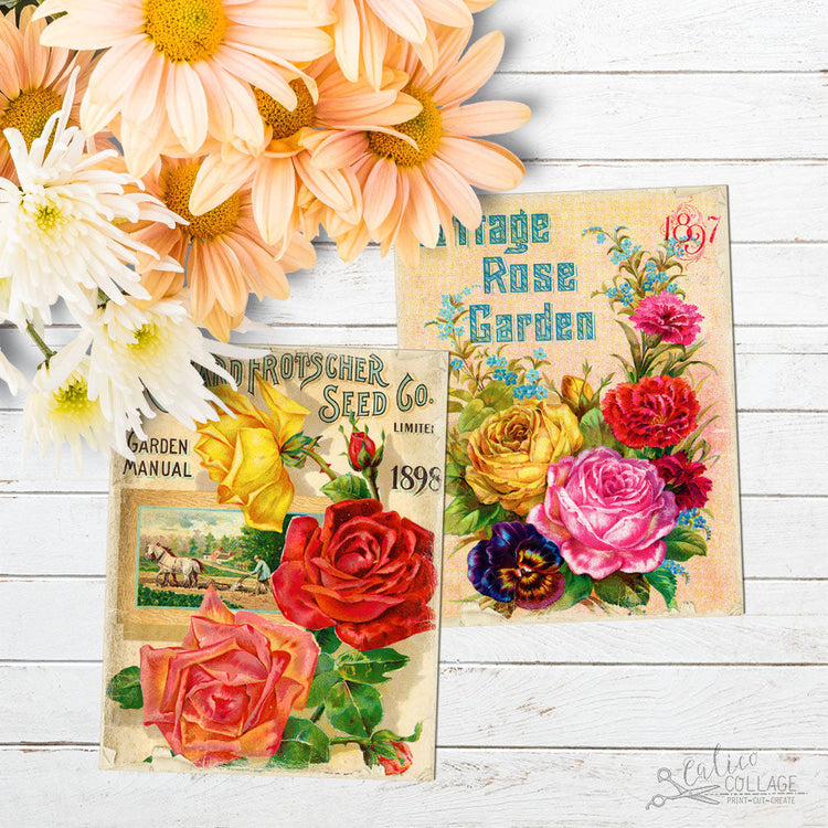 Ephemera Cards