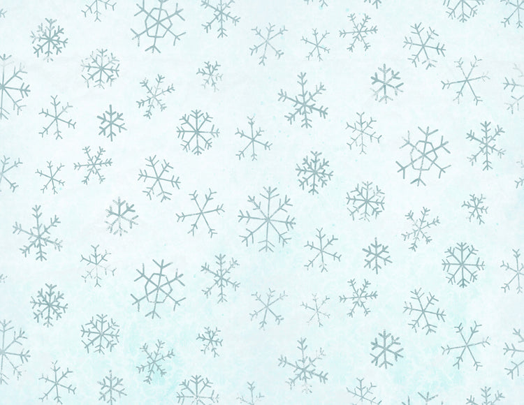 Winter Ephemera