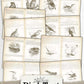 Vintage Bird Text Junk Journal Papers, Bird Ephemera