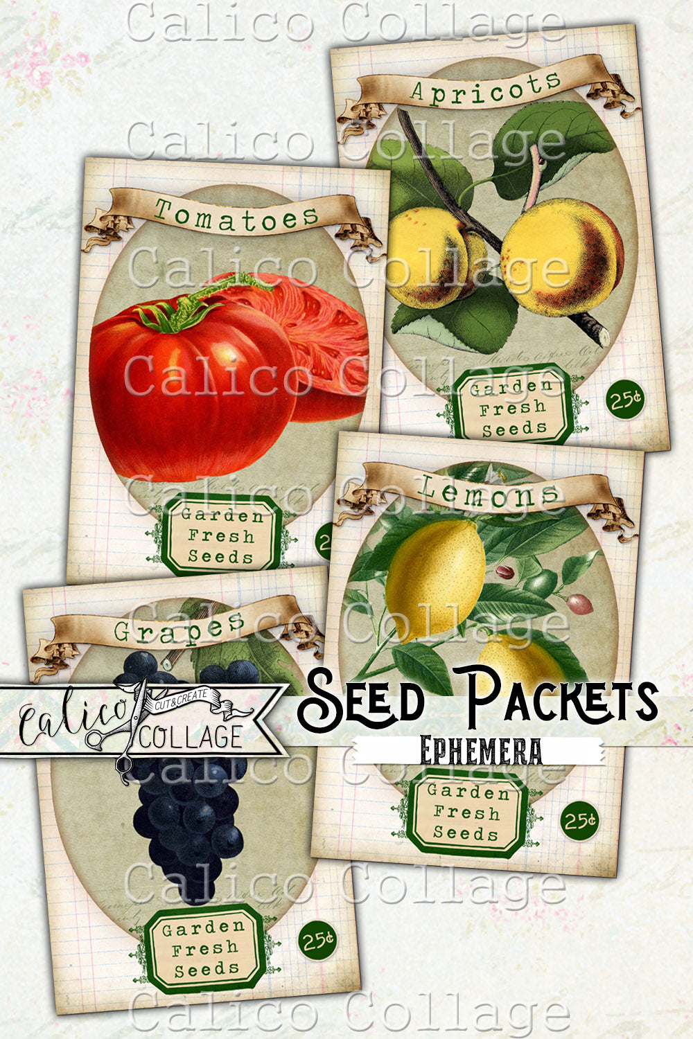 Printable Garden Fresh Seed Packets