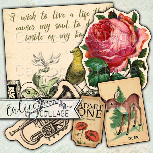 Vintage Mixed Ephemera Pack