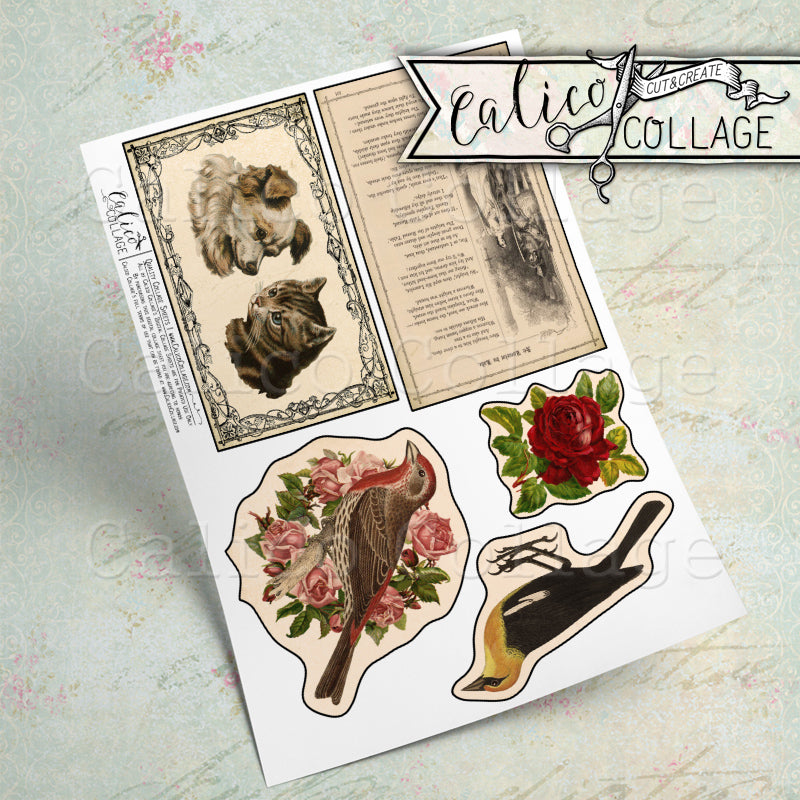 Vintage Mixed Ephemera Pack