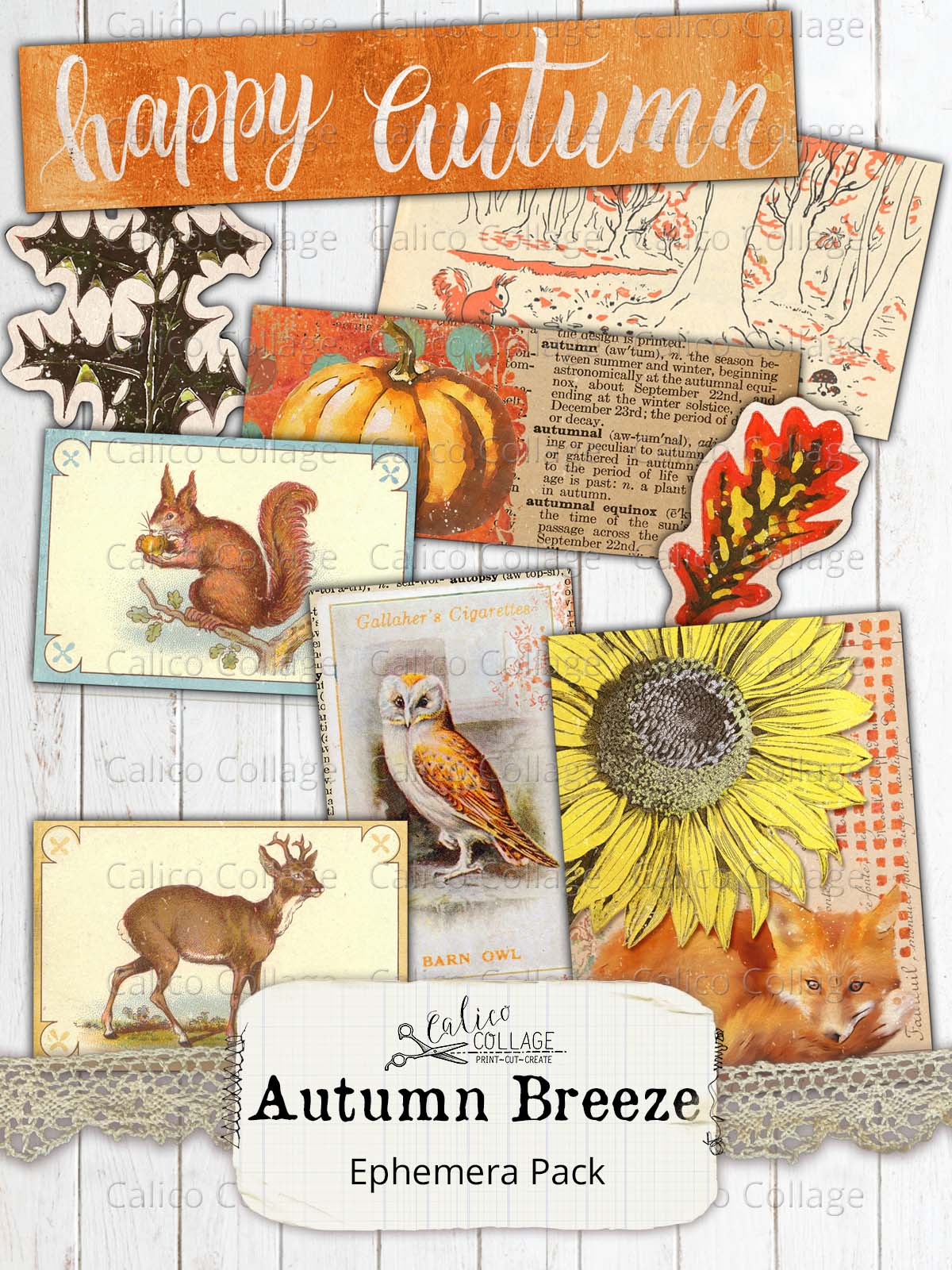 Printable Junk Journal Autumn Ephemera
