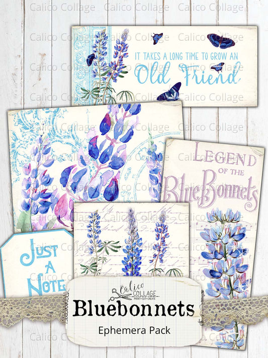 Bluebonnet Ephemera Pack, Texas Ephemera