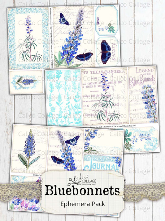 Bluebonnet Ephemera Pack, Texas Ephemera