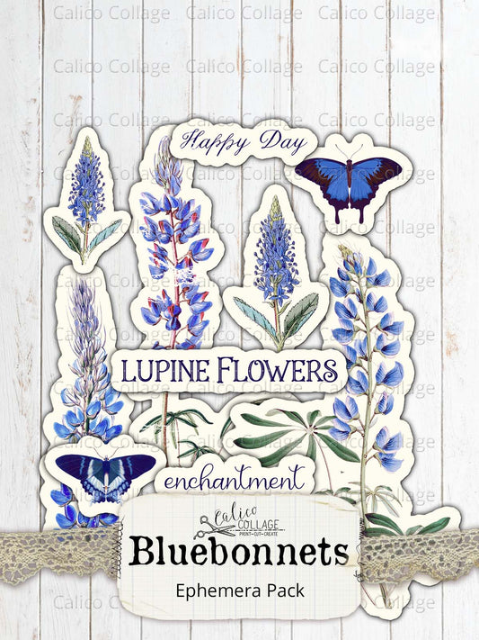 Bluebonnet Fussy Cut Ephemera, Texas Ephemera