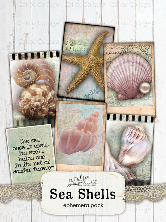 Sea Shells Ephemera Cards, Junk Journal Printable