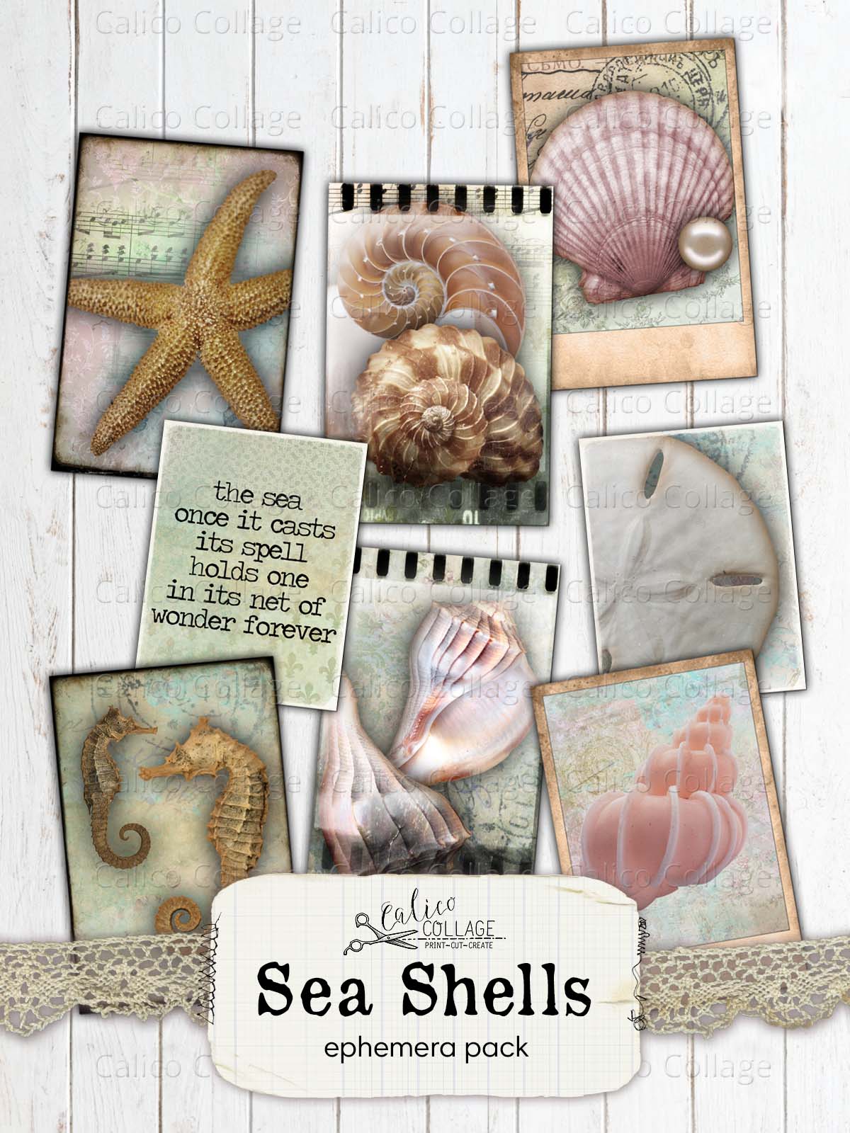 Sea Shells Ephemera Cards, Junk Journal Printable