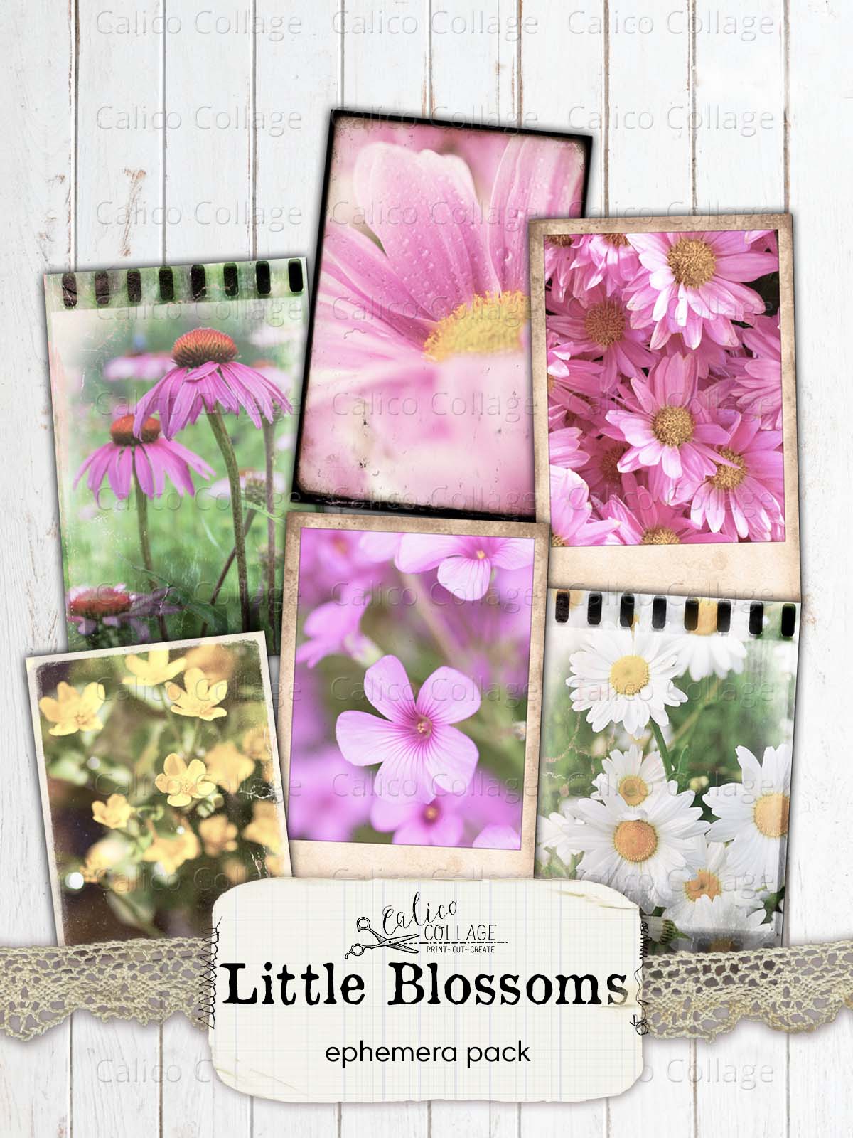 Floral Polaroids Pictures, Junk Journal Supplies