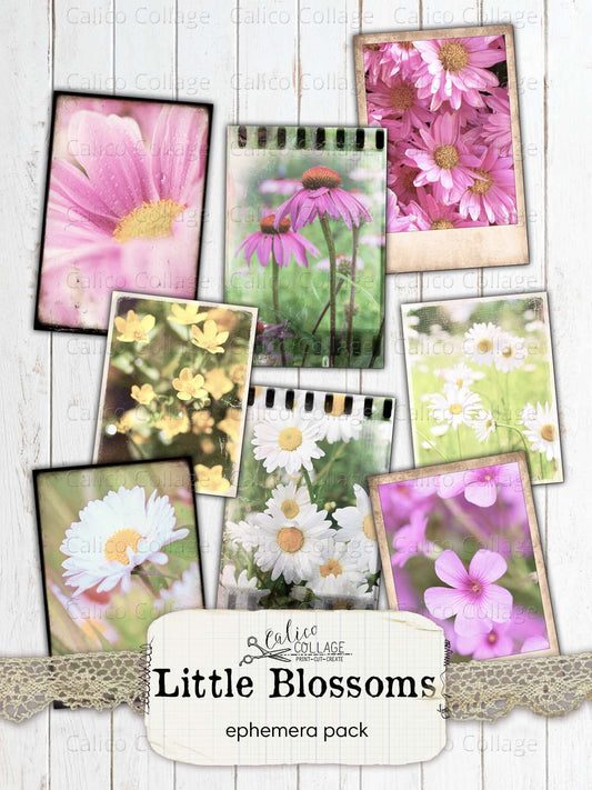 Floral Polaroids Pictures, Junk Journal Supplies