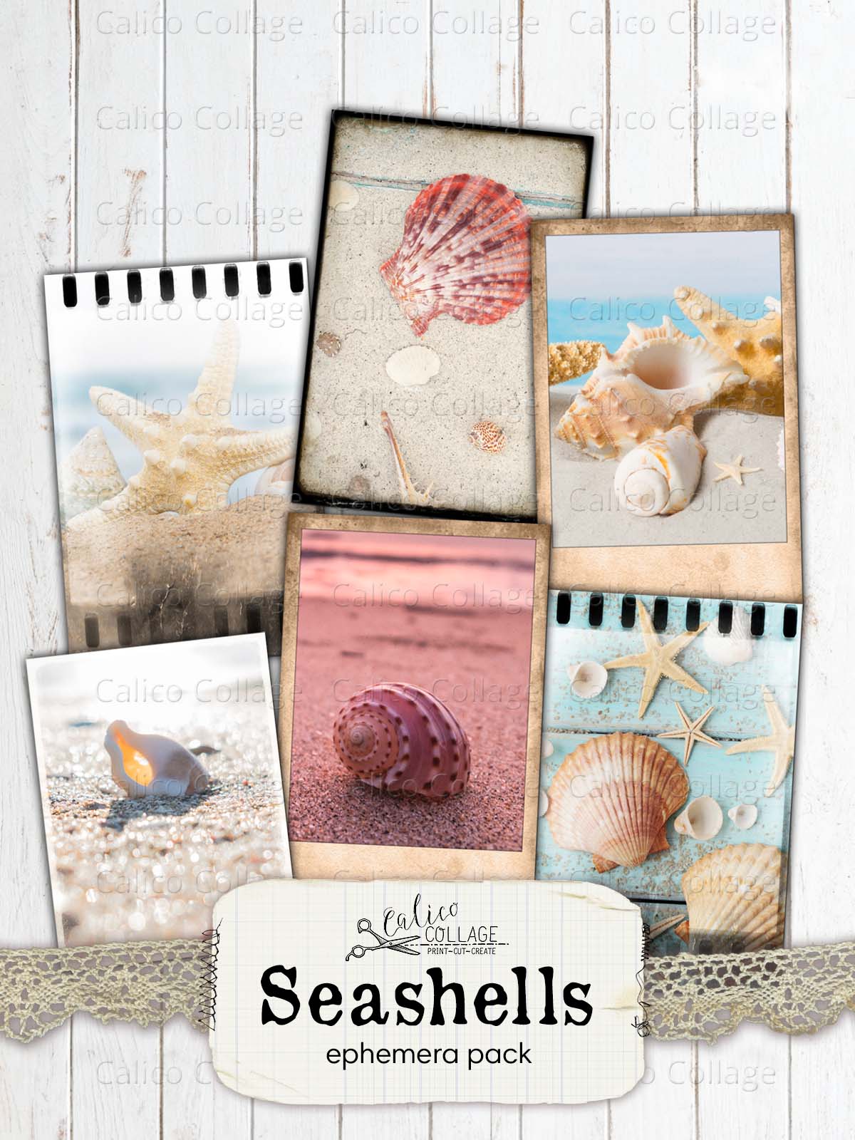 Seashells Polaroids, Junk Journal Printables