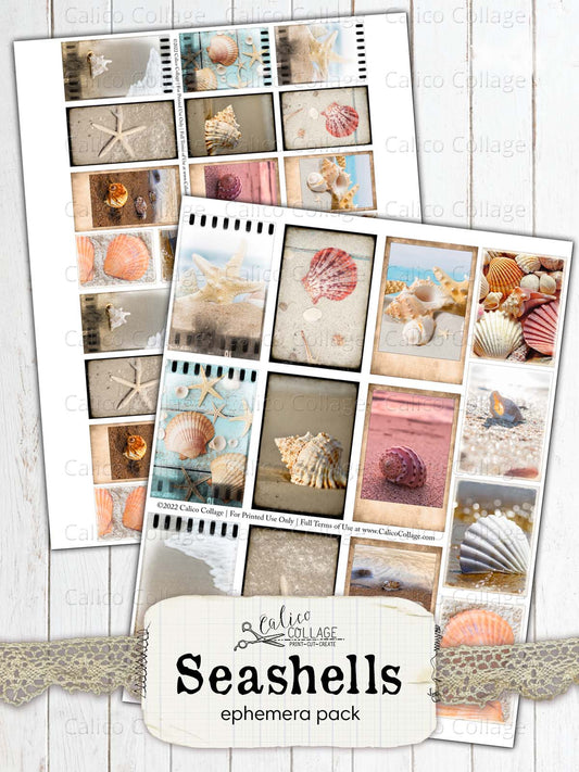 Seashells Polaroids, Junk Journal Printables