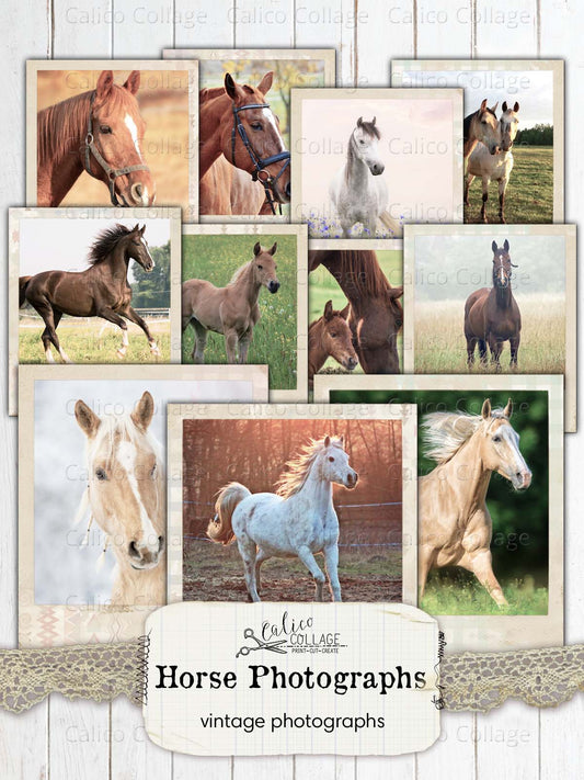 Horse Snapshots, Junk Journal Printables