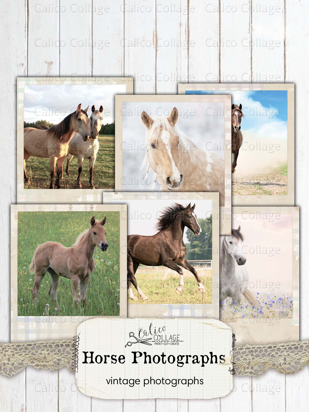 Horse Snapshots, Junk Journal Printables