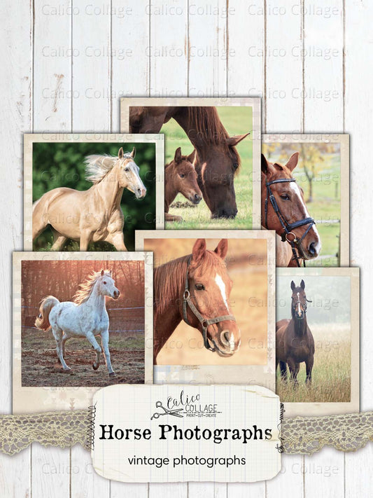 Horse Snapshots, Junk Journal Printables