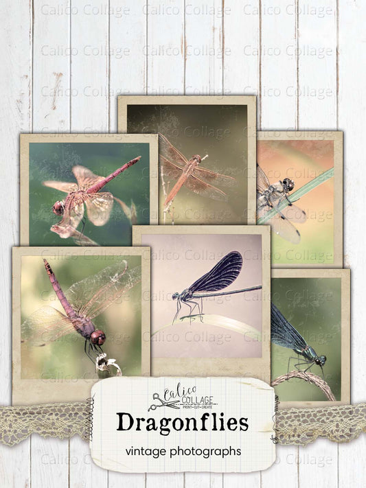Dragonfly Vintage Photographs, Junk Journal Printable