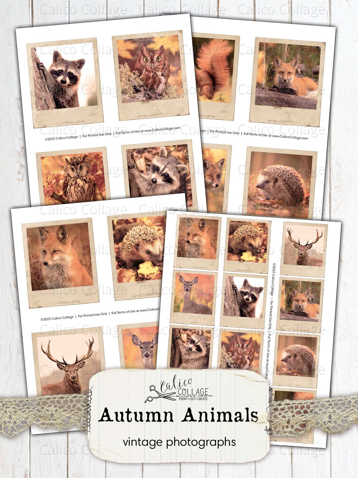 Vintage Autumn Animal Photographs, Junk Journal Printable