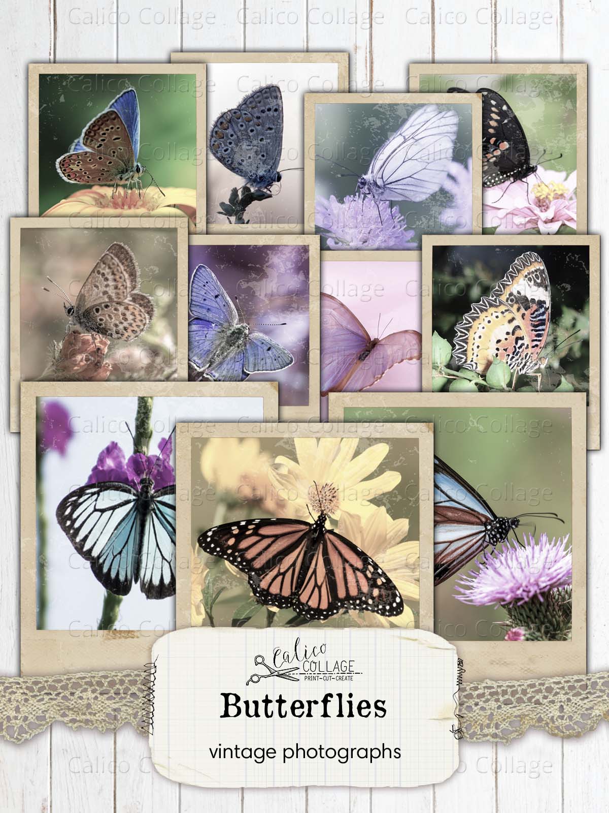 Vintage Butterfly Photographs, Junk Journal Printable