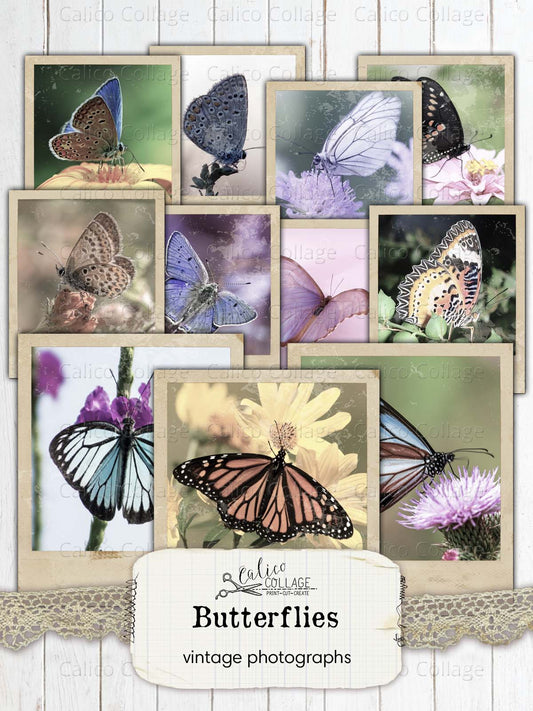 Vintage Butterfly Photographs, Junk Journal Printable