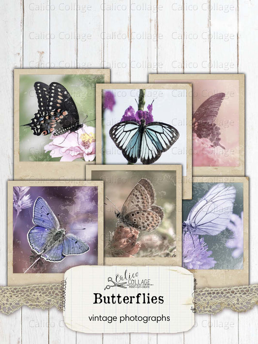 Vintage Butterfly Photographs, Junk Journal Printable