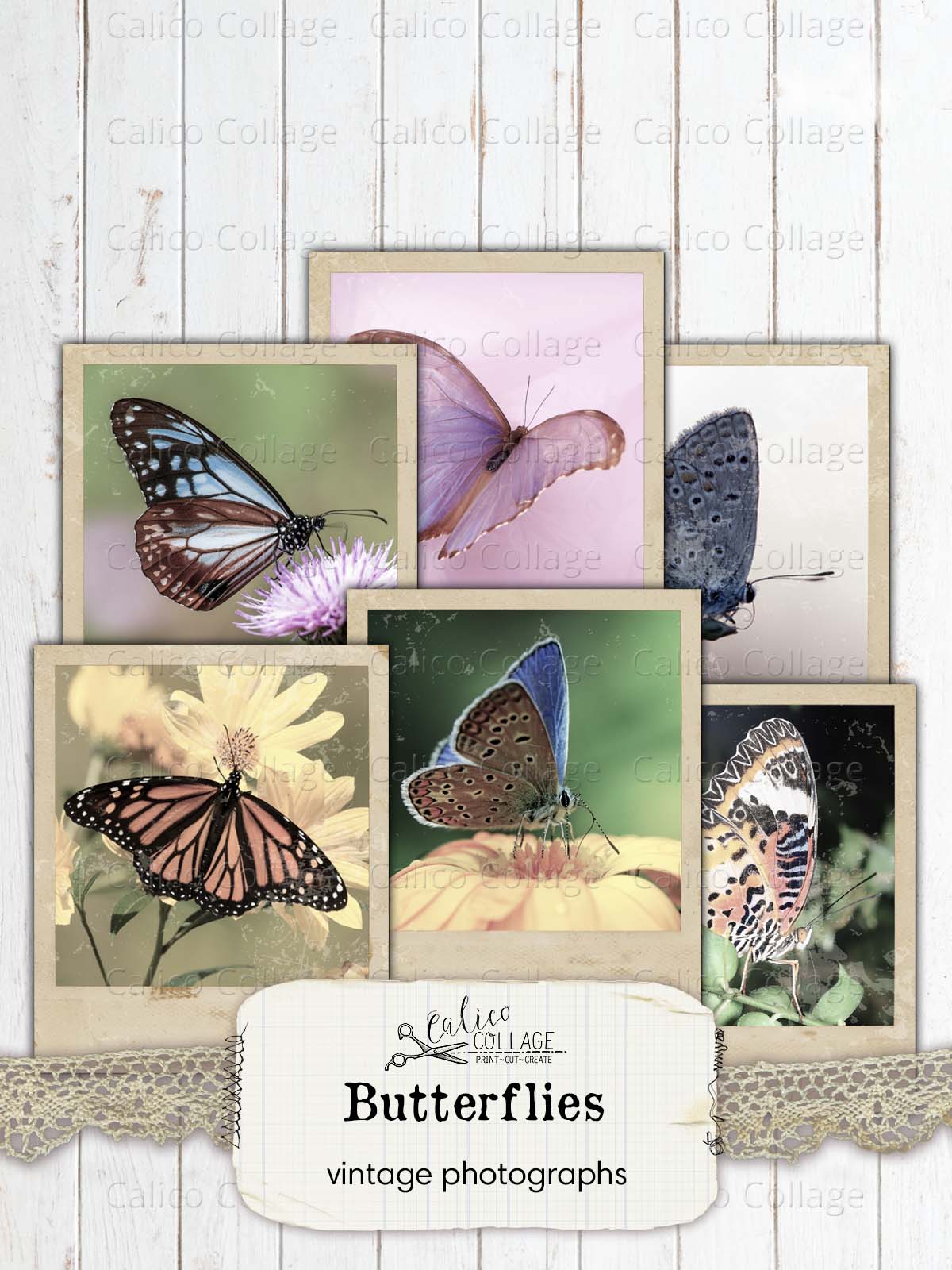 Vintage Butterfly Photographs, Junk Journal Printable