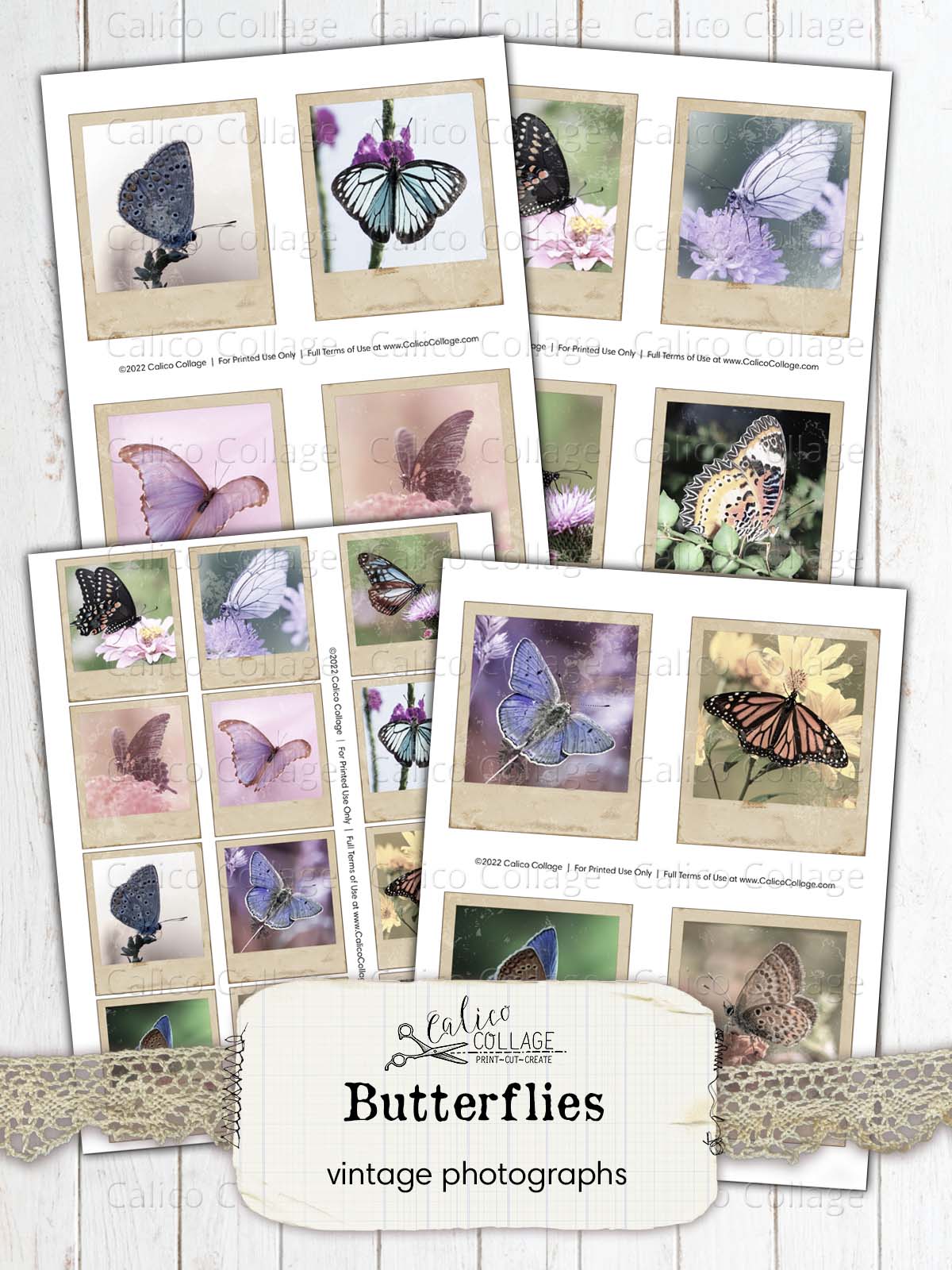 Vintage Butterfly Photographs, Junk Journal Printable