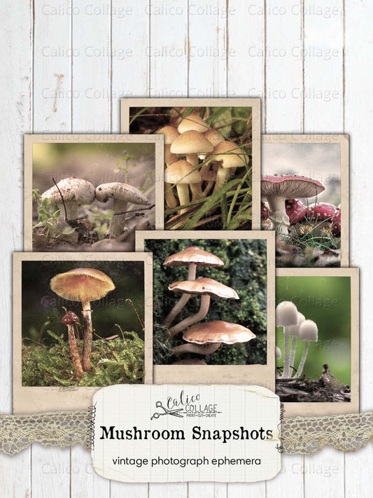 Vintage Mushroom Photographs, Junk Journal Ephemera