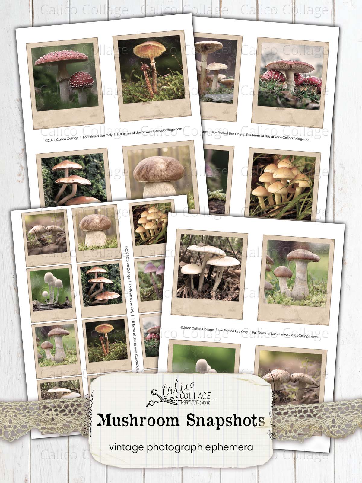 Vintage Mushroom Photographs, Junk Journal Ephemera