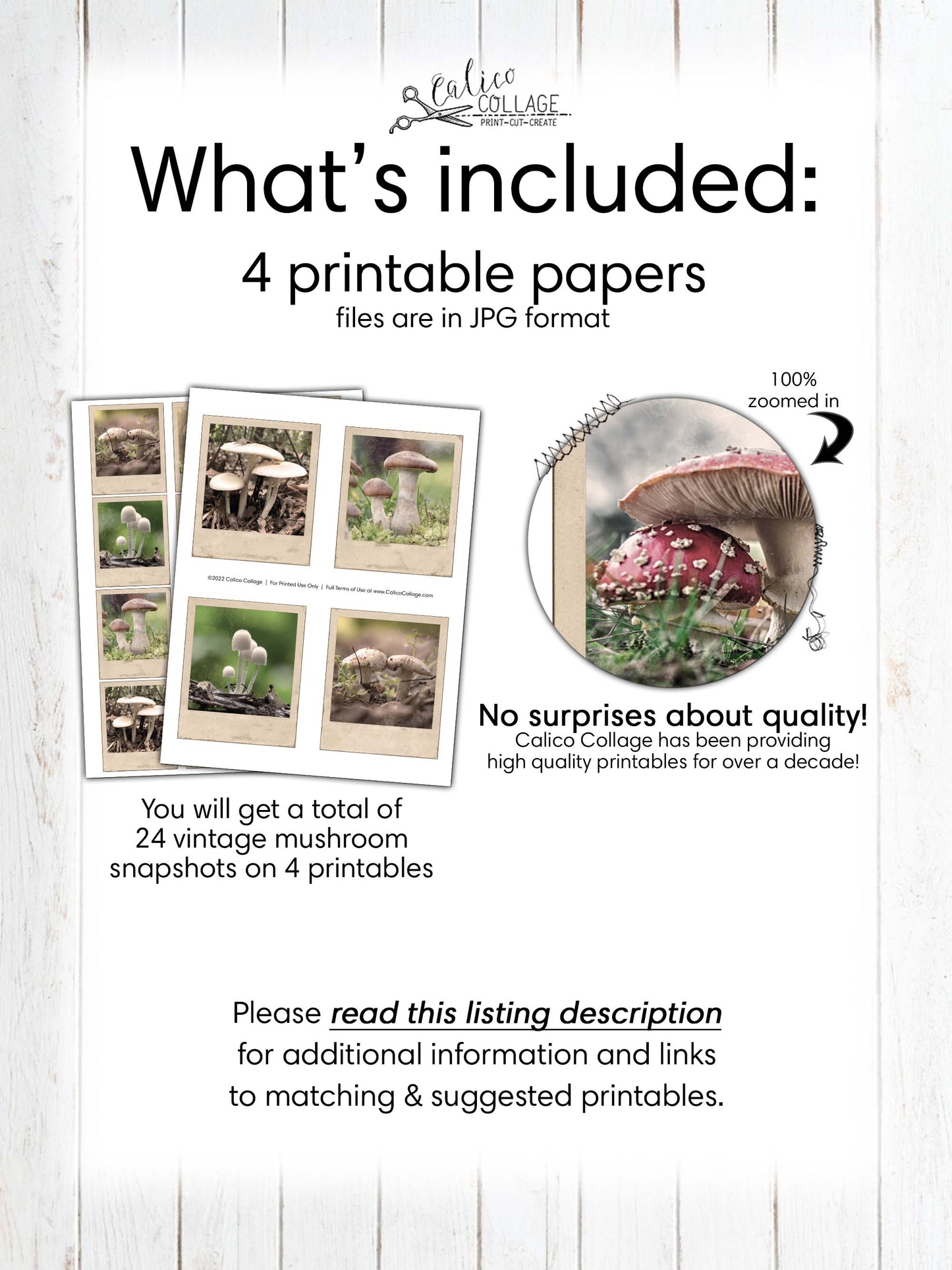 Vintage Mushroom Photographs, Junk Journal Ephemera