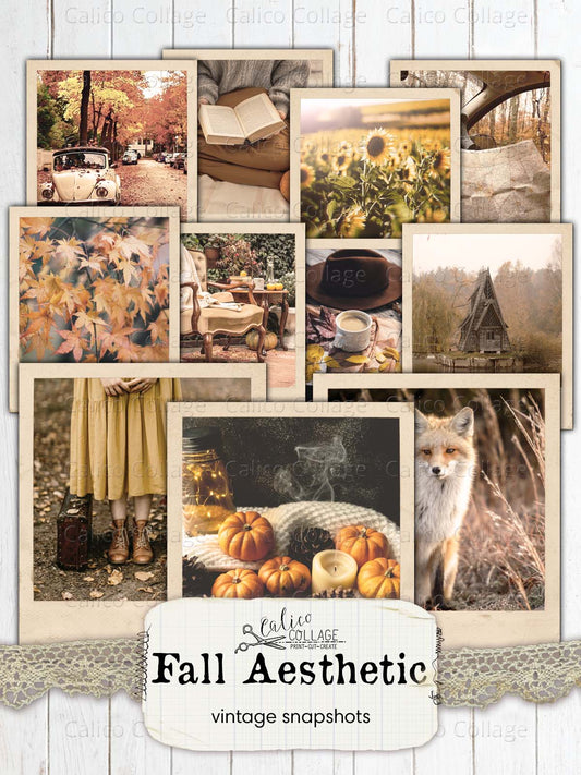 Vintage Autumn Snapshots, Fall Junk Journal Printables,