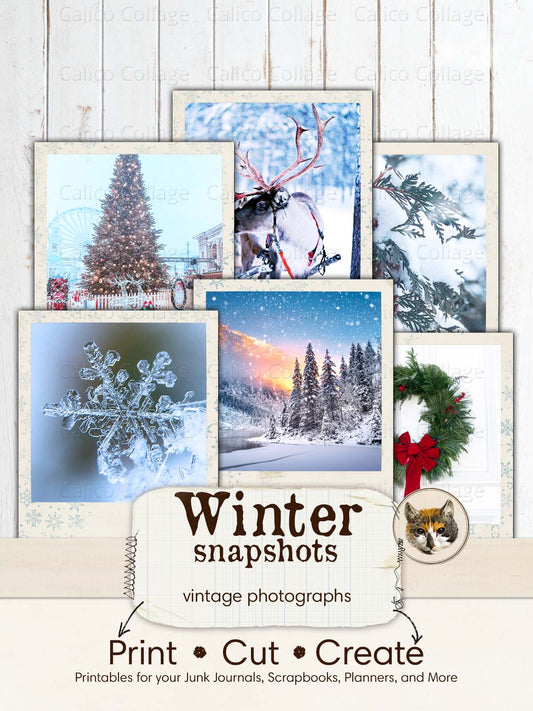 Winter Ephemera for Junk Journals
