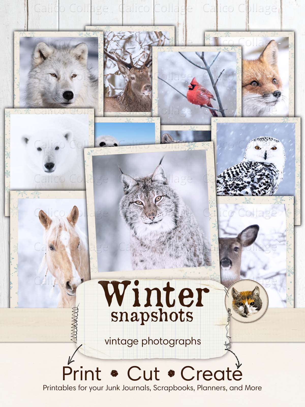 Snow Animals Vintage Pictures Ephemera for Junk Journals