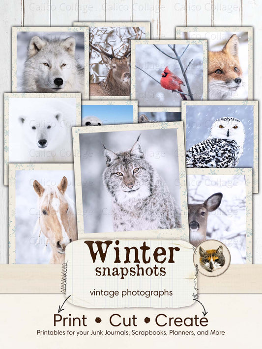 Snow Animals Vintage Pictures Ephemera for Junk Journals