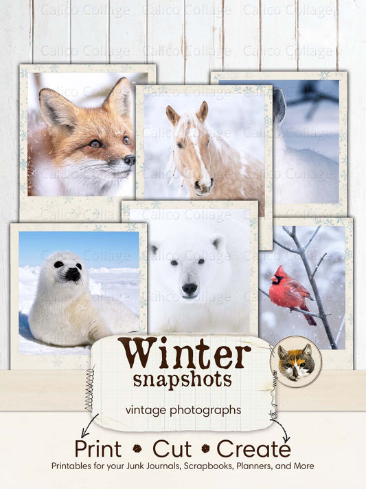 Snow Animals Vintage Pictures Ephemera for Junk Journals