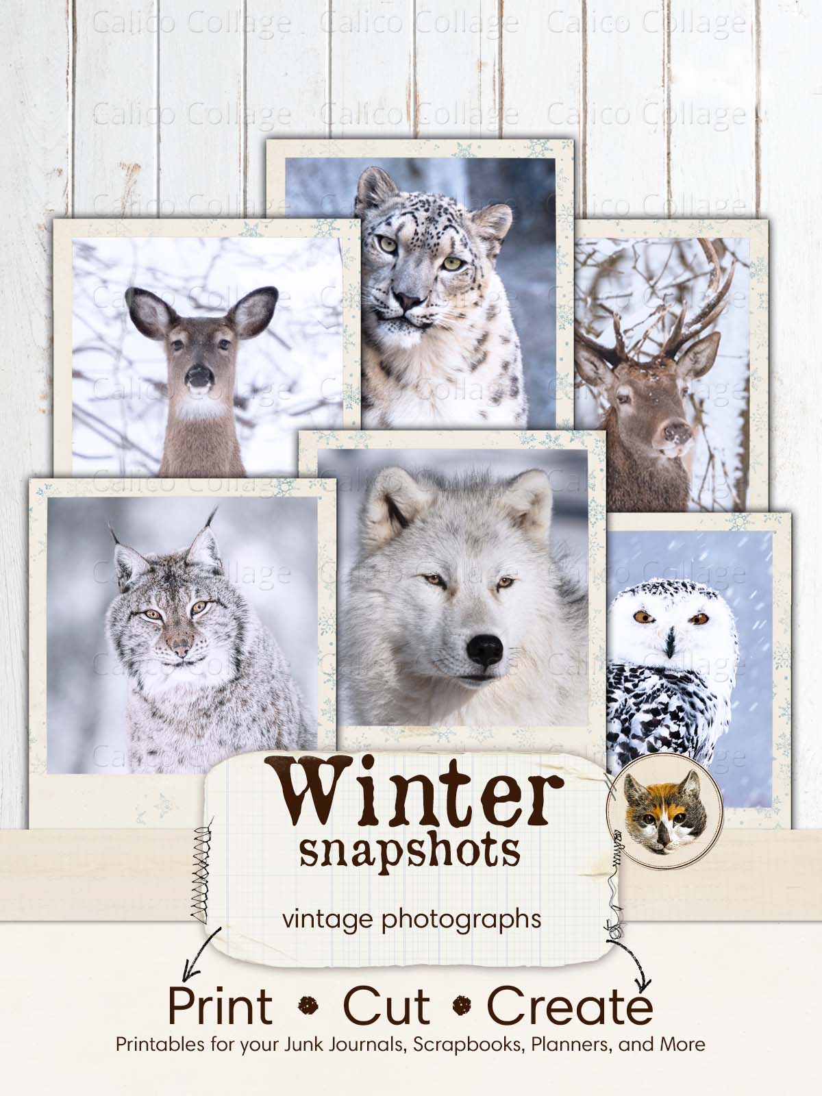 Snow Animals Vintage Pictures Ephemera for Junk Journals