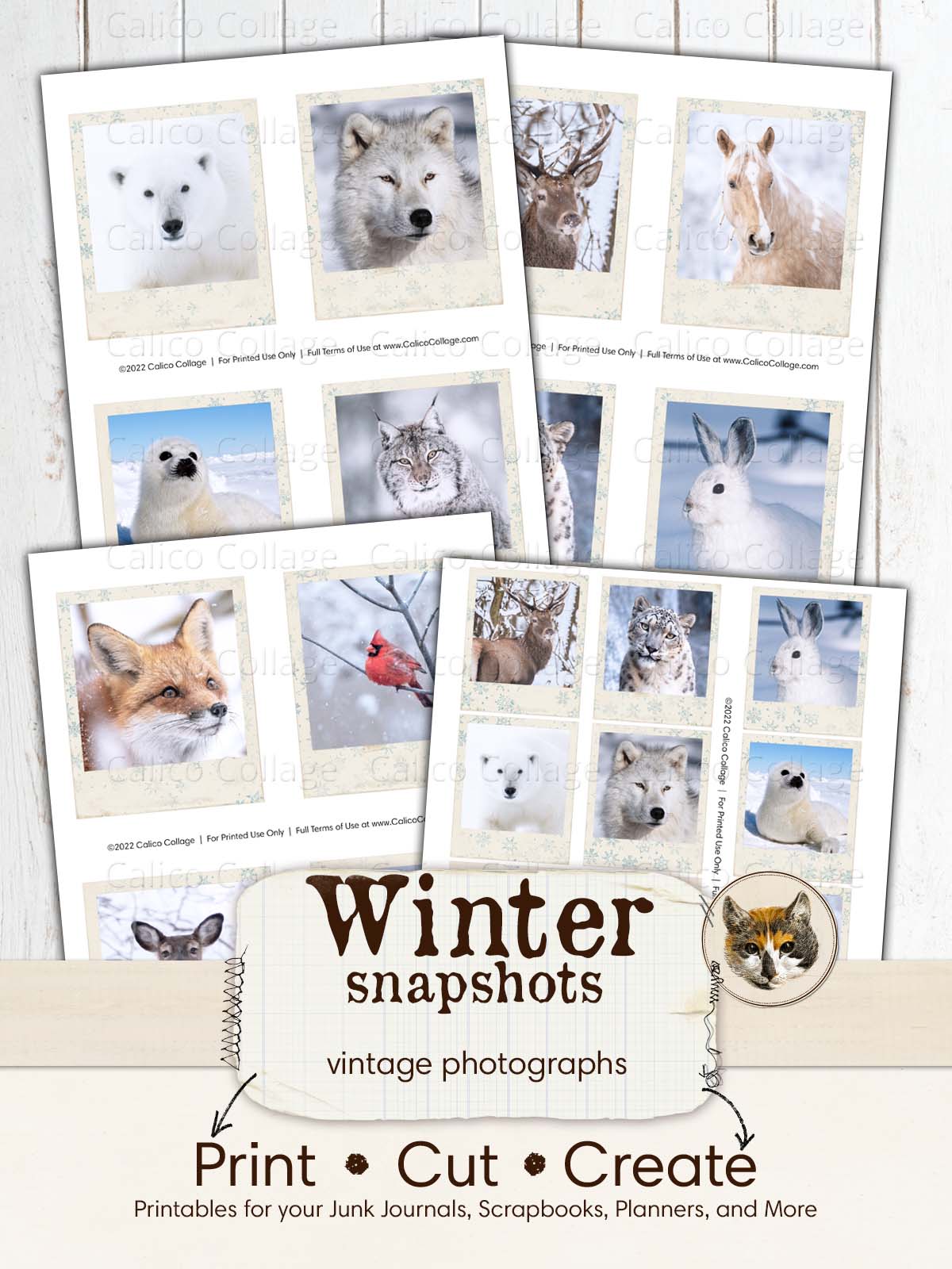 Snow Animals Vintage Pictures Ephemera for Junk Journals