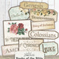 Books of the Bible Junk Journal Printable, Bible Journaling