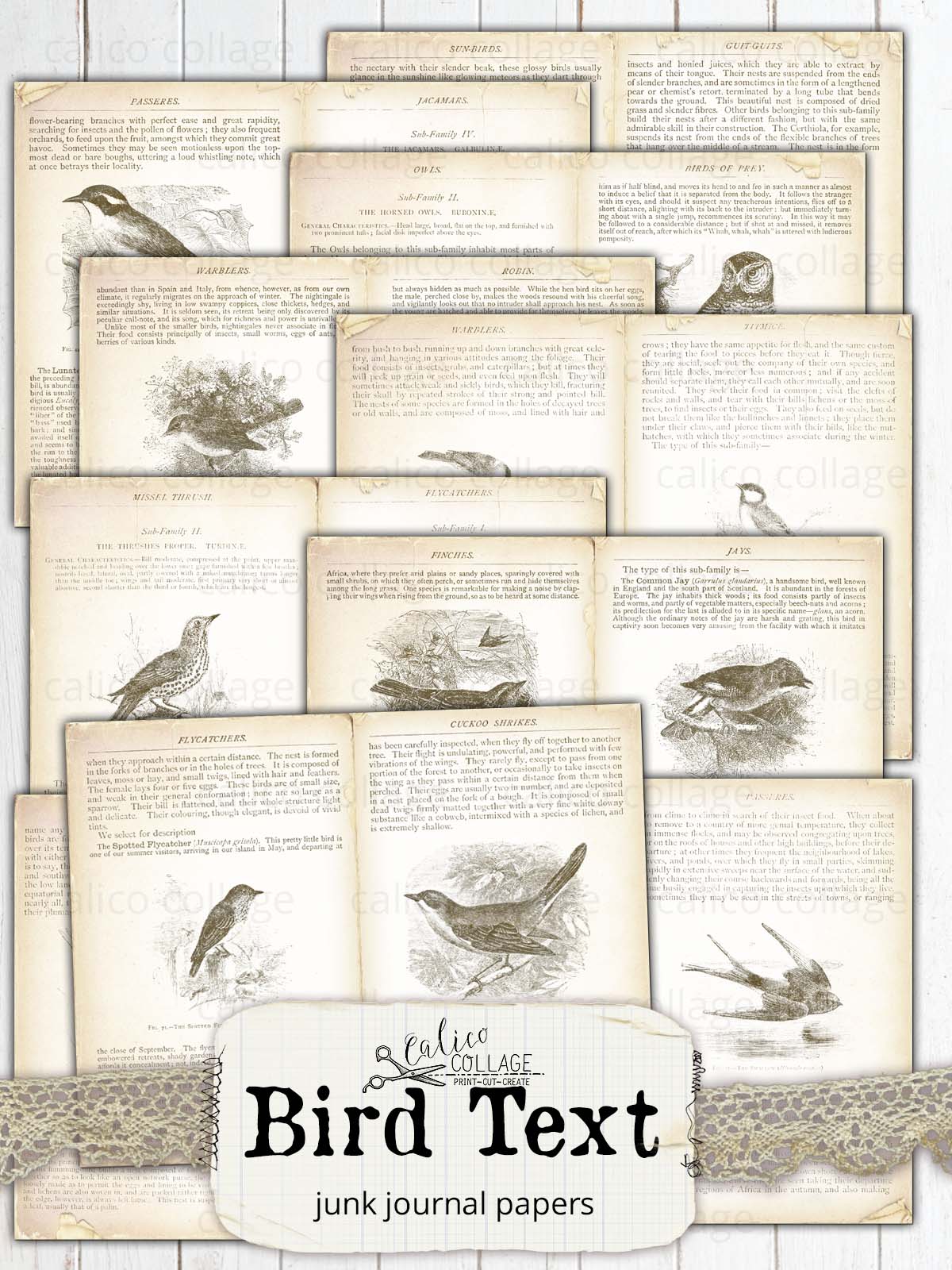 Vintage Bird Text Junk Journal Papers, Bird Ephemera