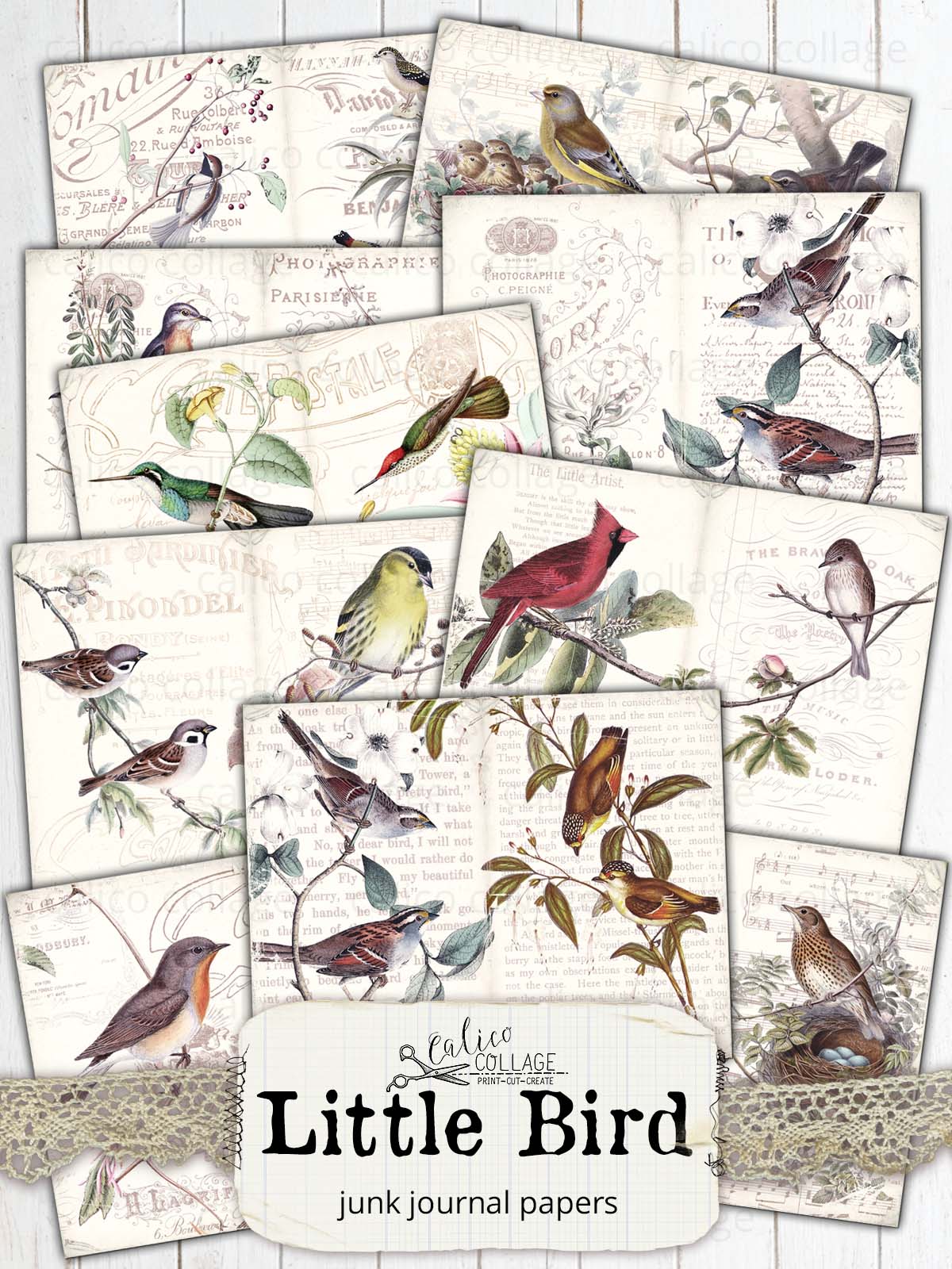 Bird Junk Journal Papers, Little Bird Ephemera