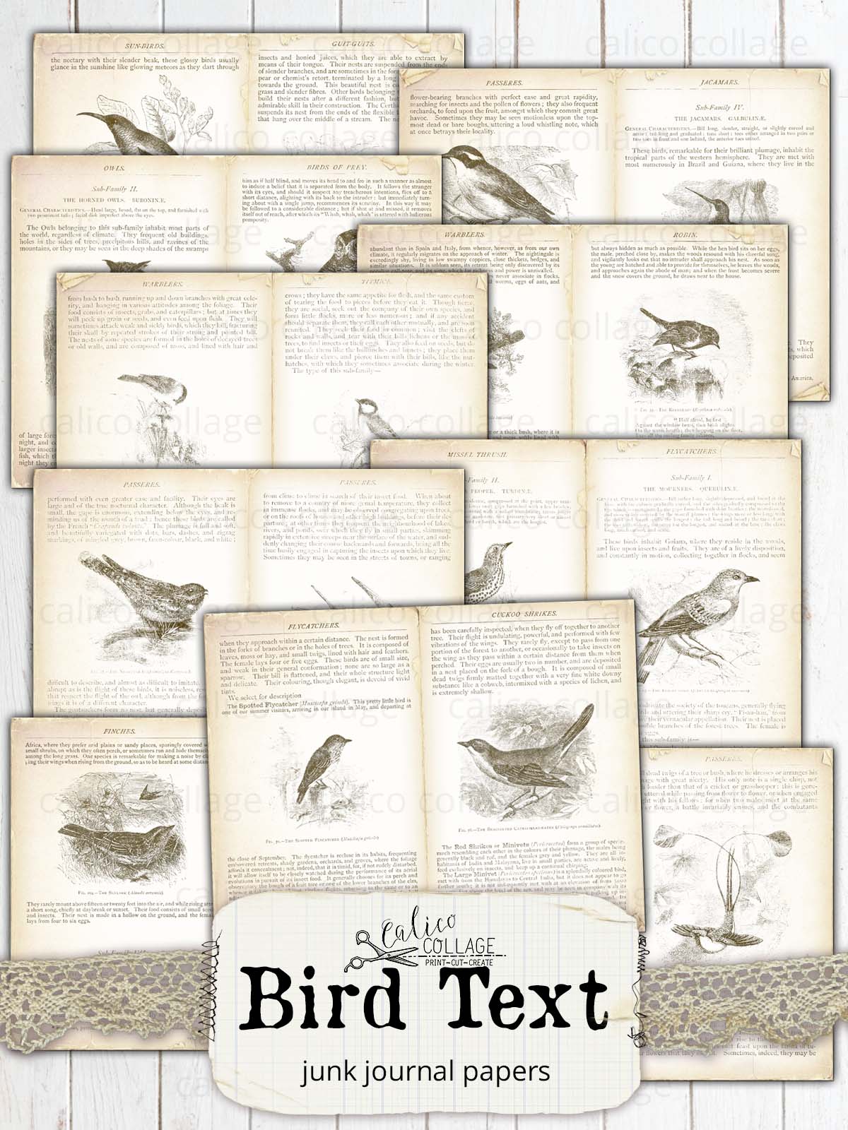 Vintage Bird Text Junk Journal Papers, Bird Ephemera – CalicoCollage