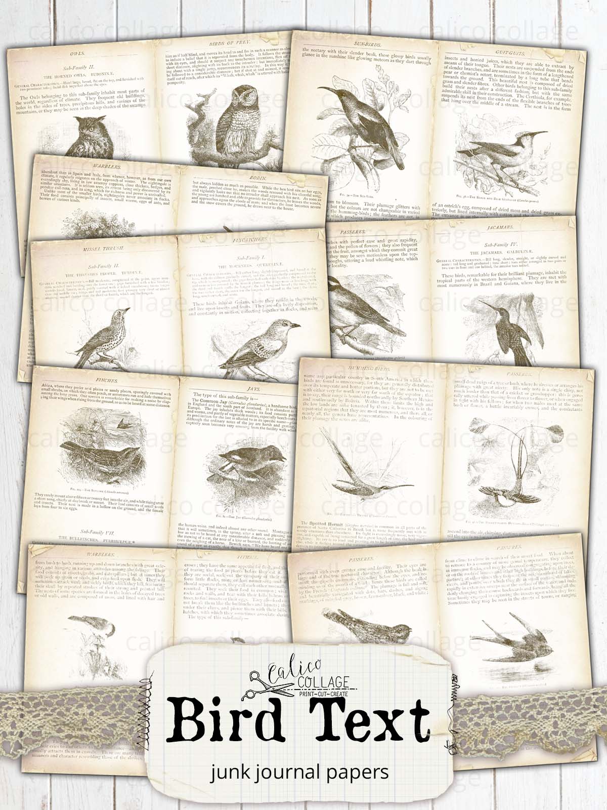 Vintage Bird Text Junk Journal Papers, Bird Ephemera
