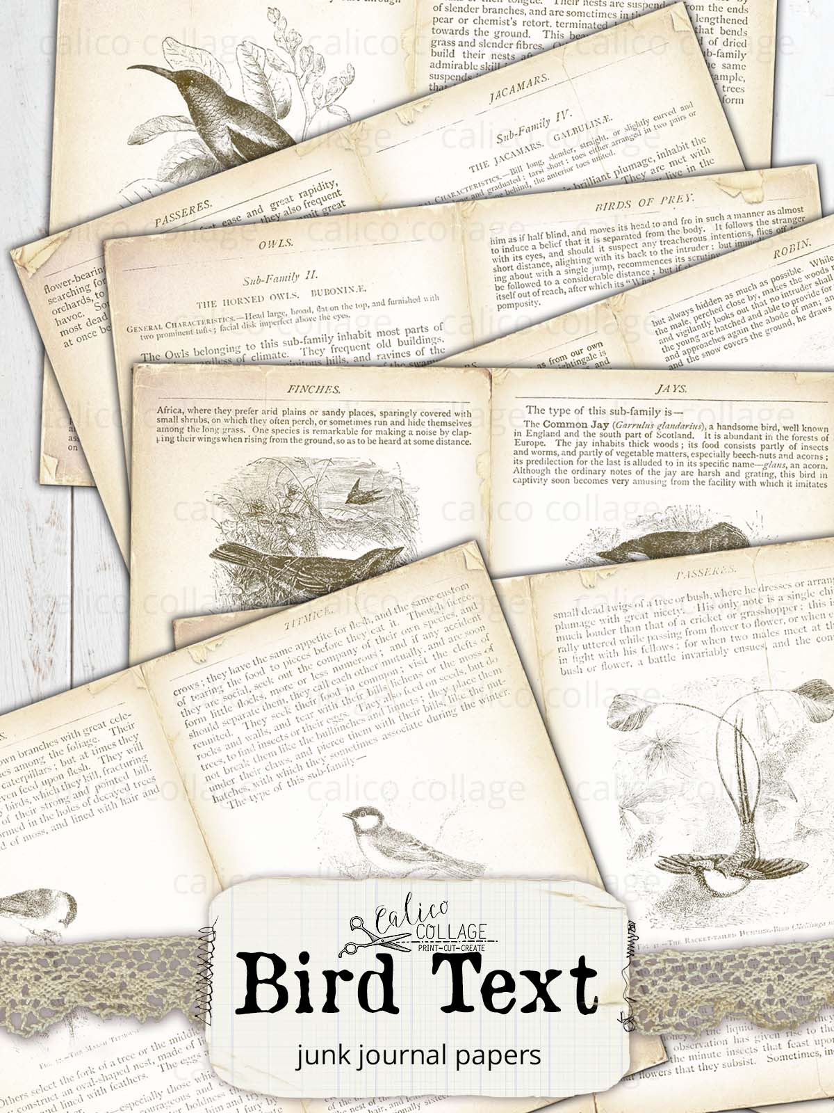 Vintage Bird Text Junk Journal Papers, Bird Ephemera