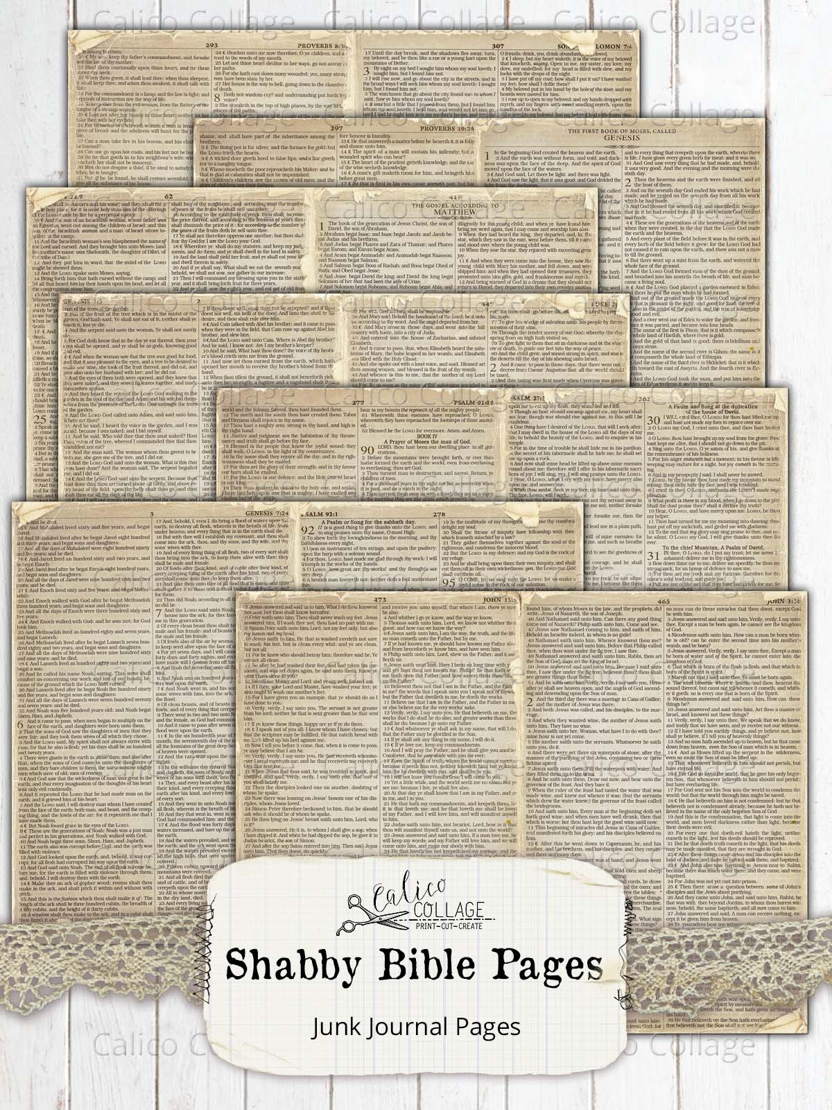 Shabby Bible Junk Journal Papers