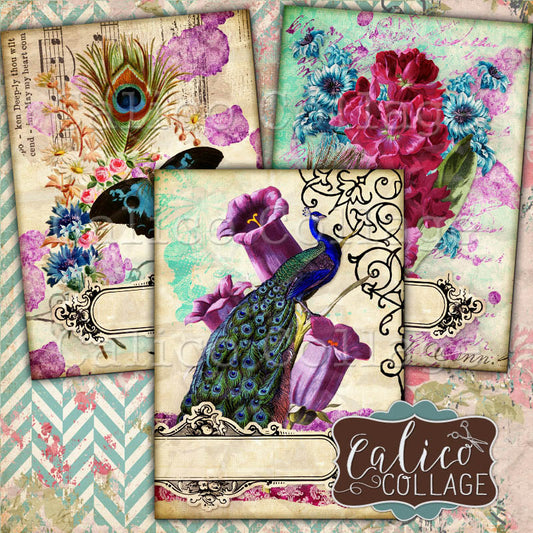 Spring Peacock Journaling Cards