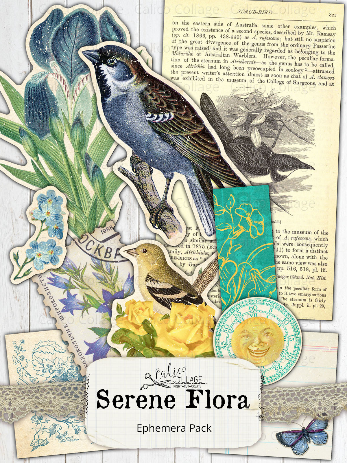 Serene Flora Ephemera Pack