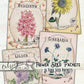Printable Flower Seed Packets