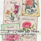 Printable Flower Seed Packets