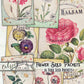 Printable Flower Seed Packets