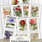 Floral Steampunk Printable Junk Journal Ephemera Pack