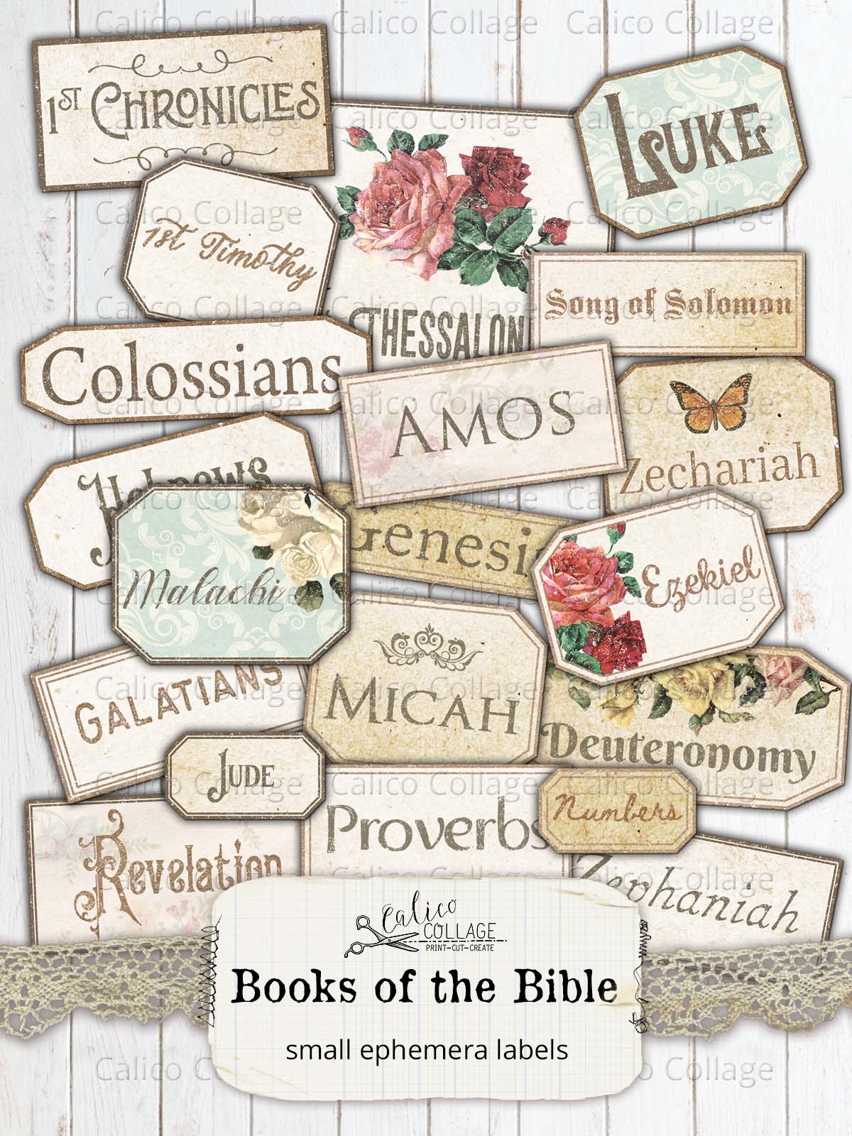 Printable Books of the Bible Labels